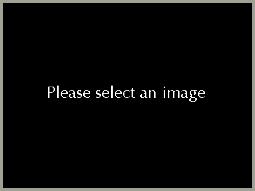 Please select an image: