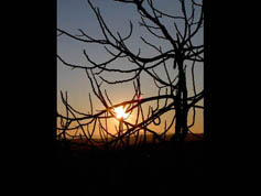 PhotoArt11